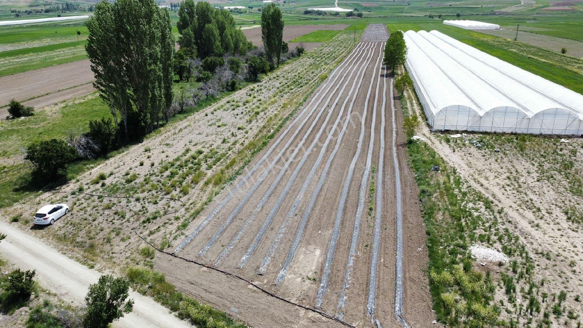 Maraton Emlak Erkan Ateş Den Kozağacı Köyünde 20750 M2 - Görsel 6