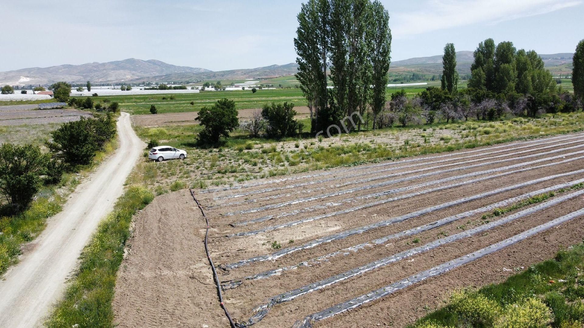 Maraton Emlak Erkan Ateş Den Kozağacı Köyünde 20750 M2 - Görsel 8