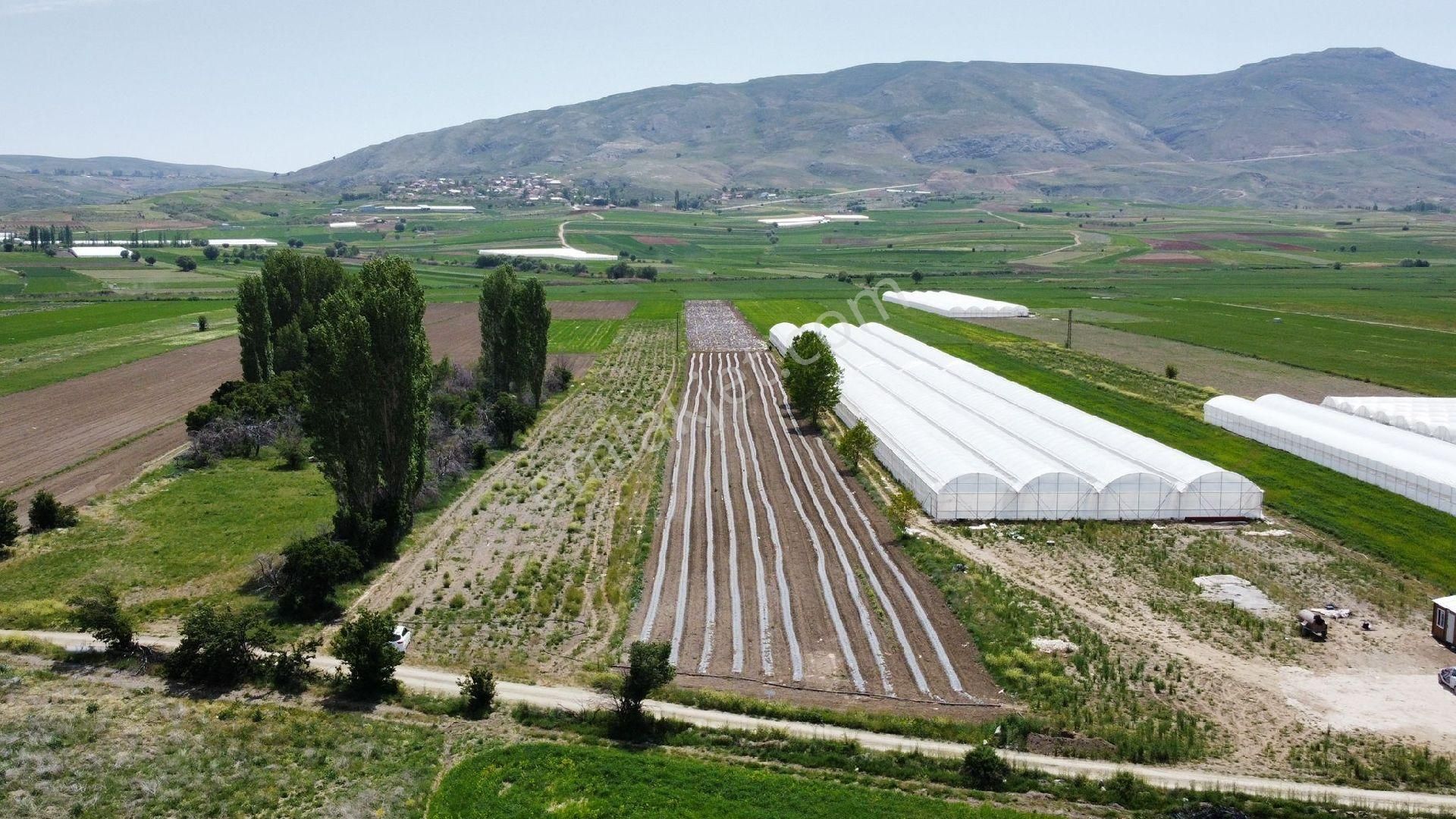 Maraton Emlak Erkan Ateş Den Kozağacı Köyünde 20750 M2 - Görsel 17