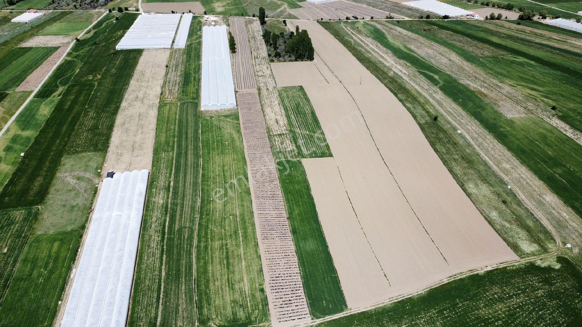 Maraton Emlak Erkan Ateş Den Kozağacı Köyünde 20750 M2 - Görsel 14