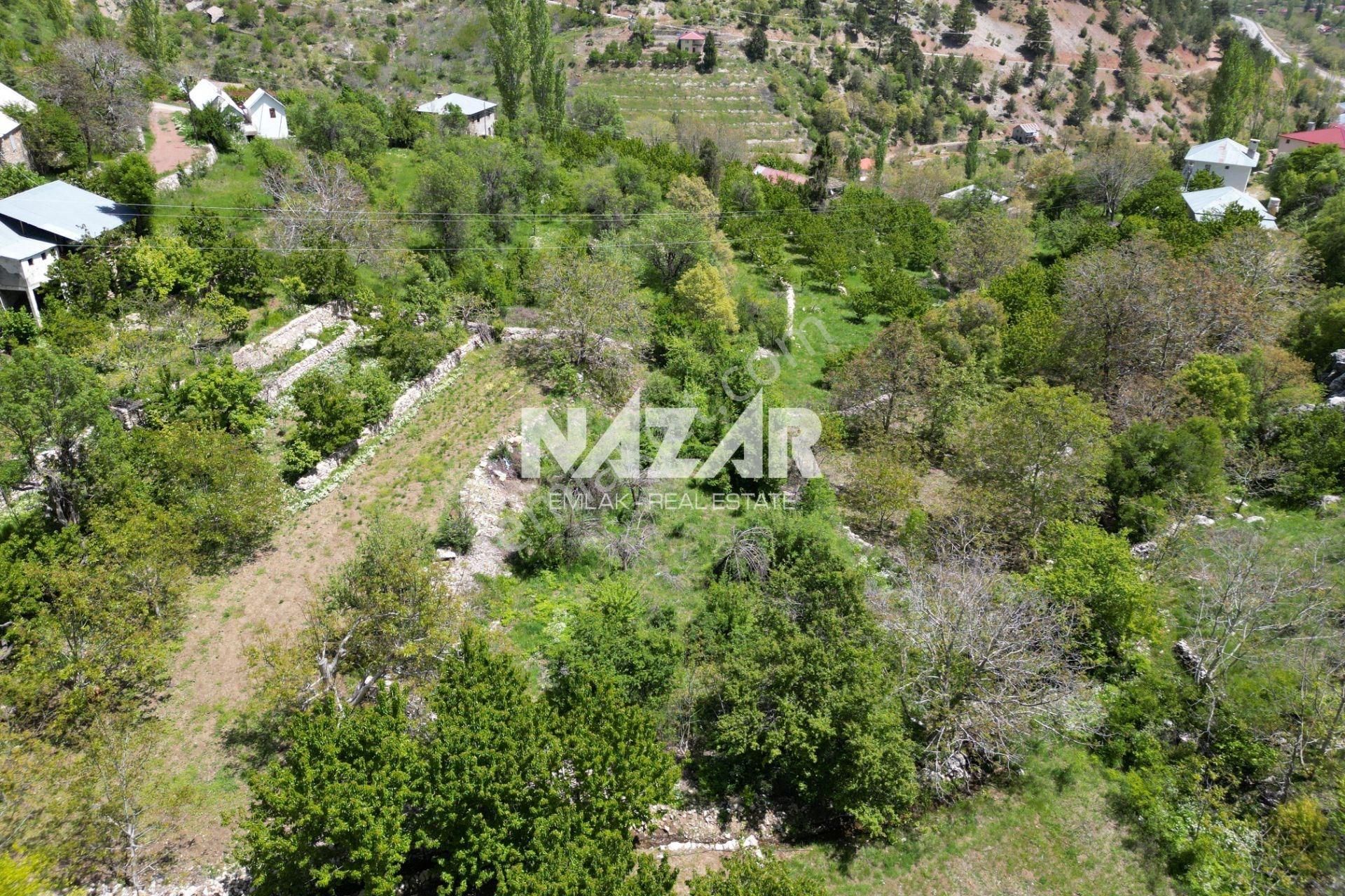 Alanya Şıhlar Köyü, Çayarası Yaylası’nda 932 M² Satılık Tarla - Görsel 16