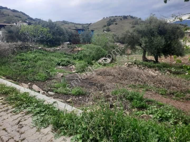 Denizli Sarayköy Kabaagacta 200 M2 Arsamiz Satılıktır Bundan Uygunu Yokk