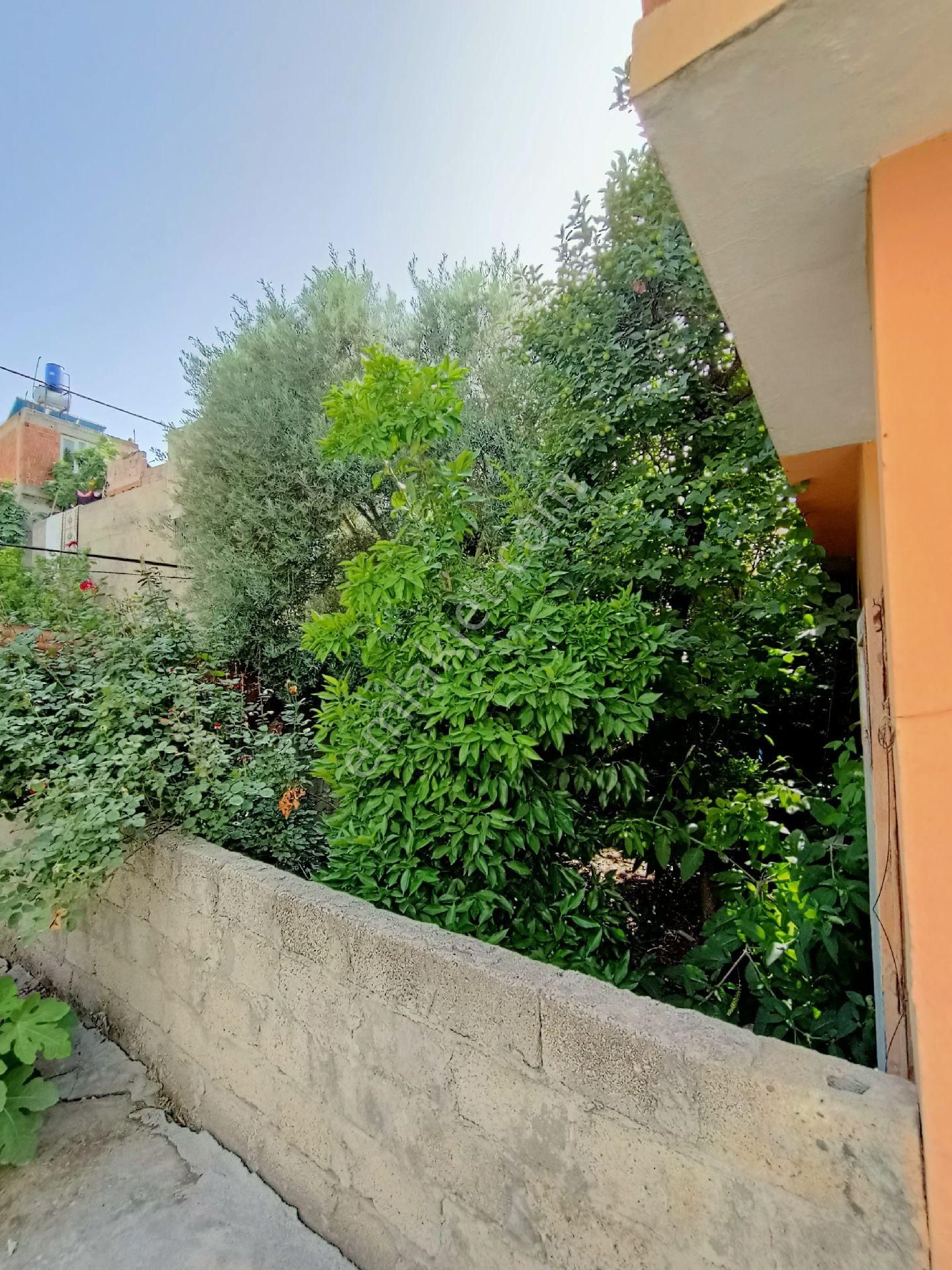 Dumlupınar Havaalanı Civarı 500m2 Arsa İçinde Satılık Müstakil Ev - Görsel 18