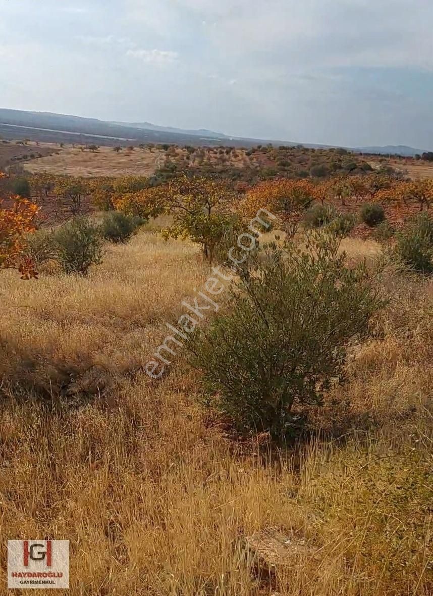 Gaziantep Oguzeli Kurtuluş Havaalanına Yakın Satılık Arazi