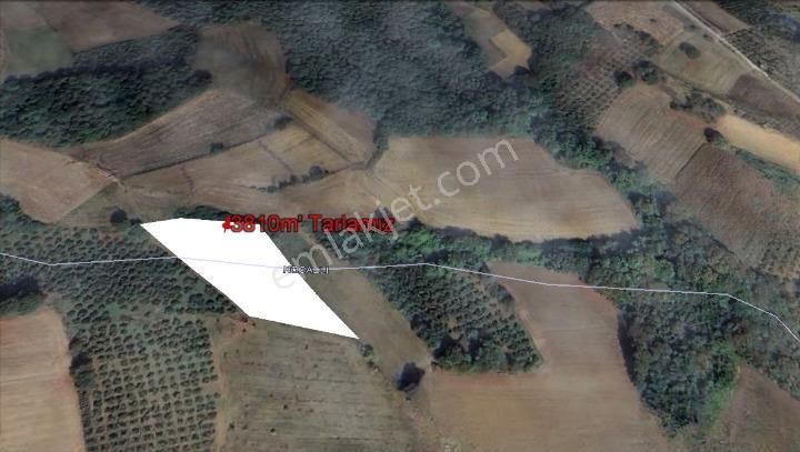 Kandıra Aramanda Salmanlı Göletine Yakın 3810m Tarla