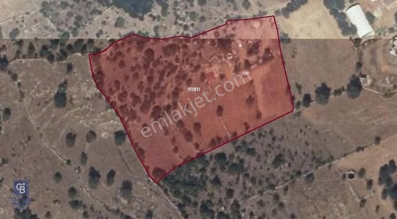 Bodrum Çamlık Satılık Tarla Ve İncirlik