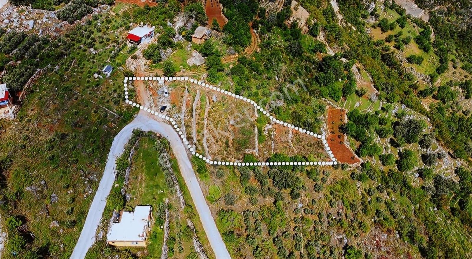 Alanya Türktaş Mahallesi