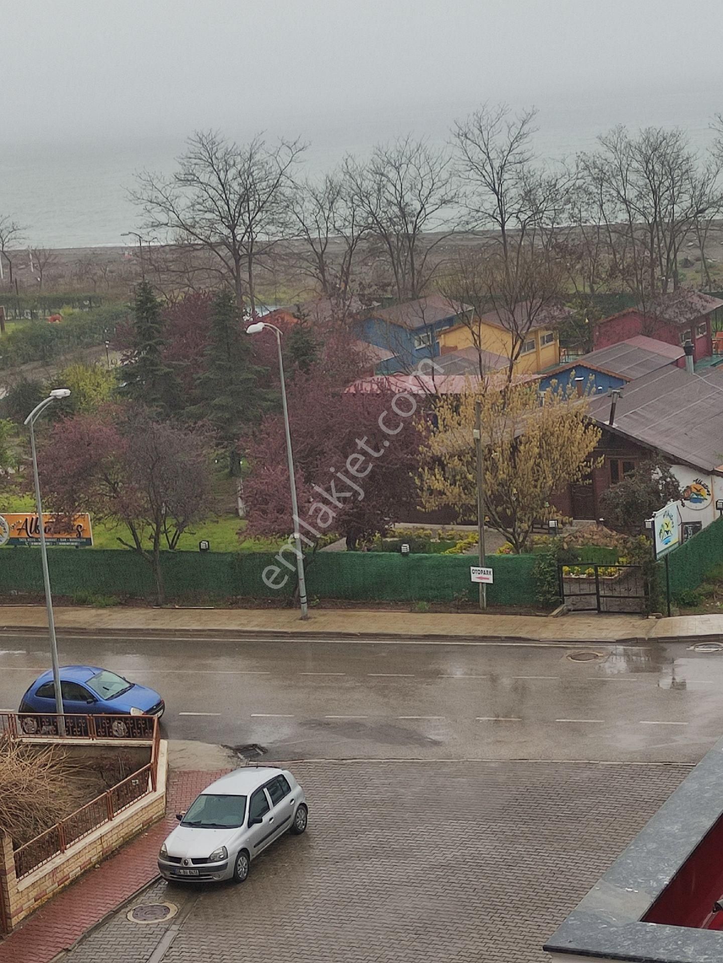 Deniz Ve Doğa Manzaralı