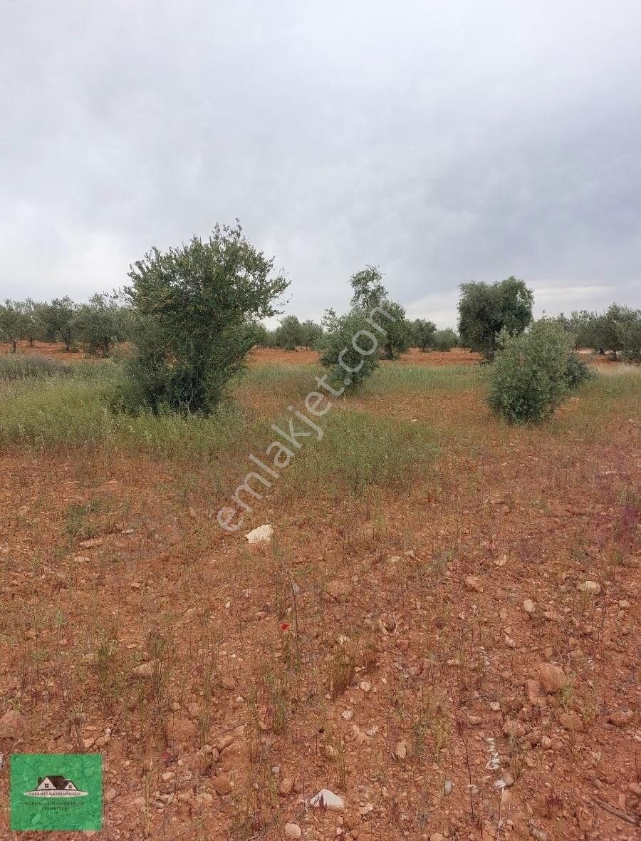 Sekilide 2.org. San. Bölgesinin Karşısında Yatırımlık Arazi. - Görsel 10