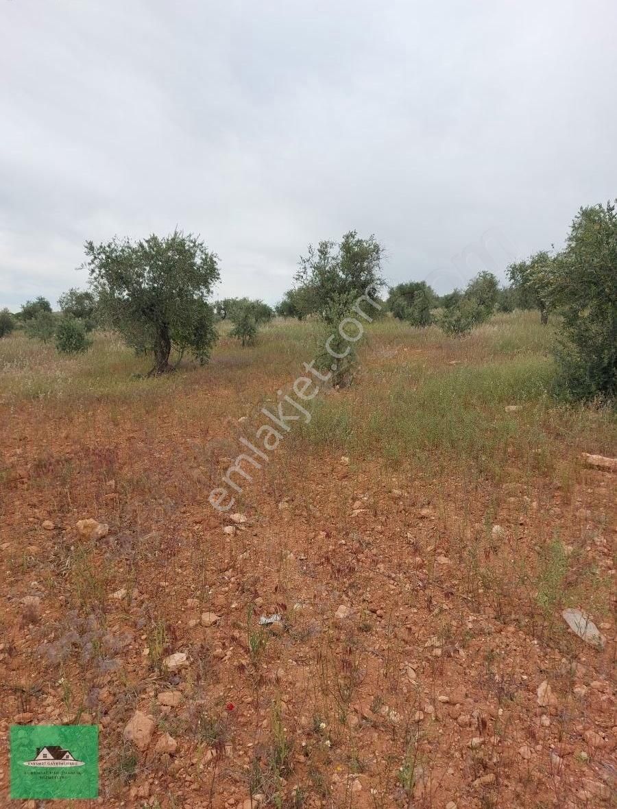 Sekilide 2.org. San. Bölgesinin Karşısında Yatırımlık Arazi. - Görsel 22