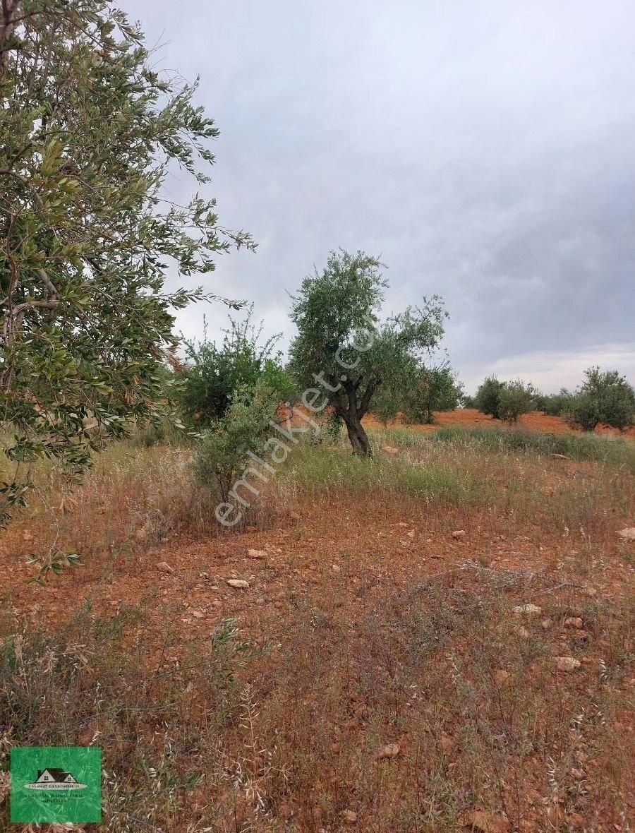 Sekilide 2.org. San. Bölgesinin Karşısında Yatırımlık Arazi. - Görsel 4