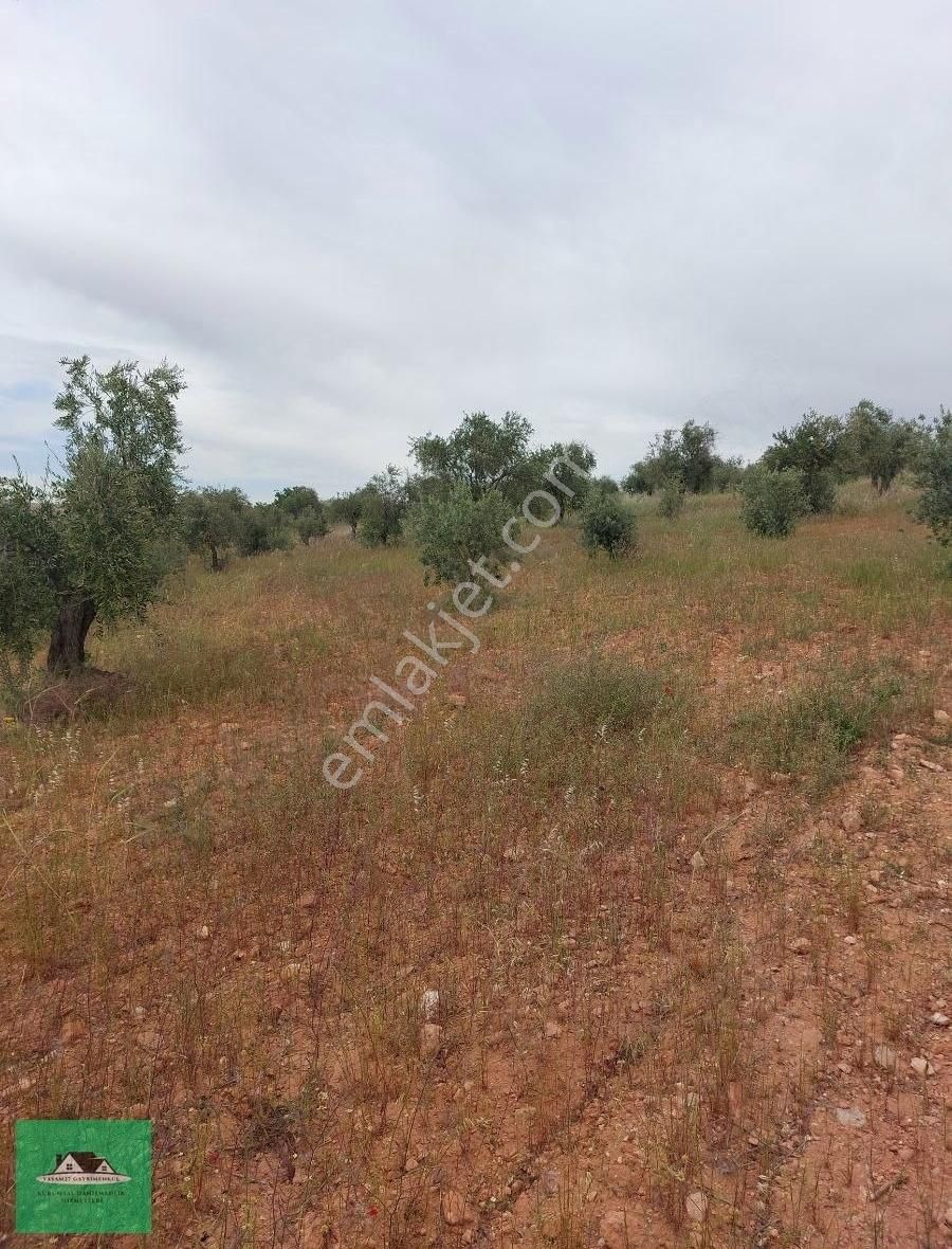 Sekilide 2.org. San. Bölgesinin Karşısında Yatırımlık Arazi. - Görsel 8