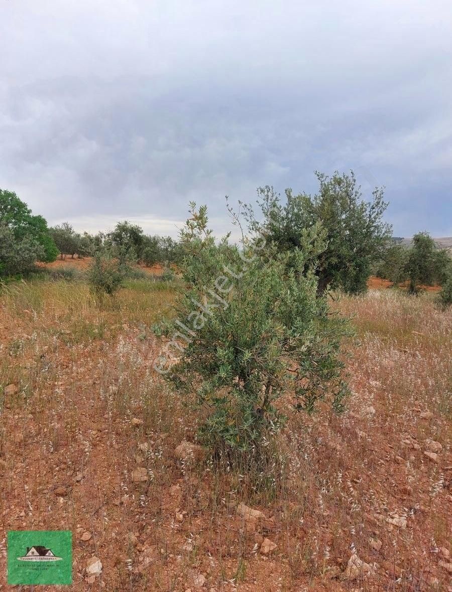 Sekilide 2.org. San. Bölgesinin Karşısında Yatırımlık Arazi. - Görsel 16