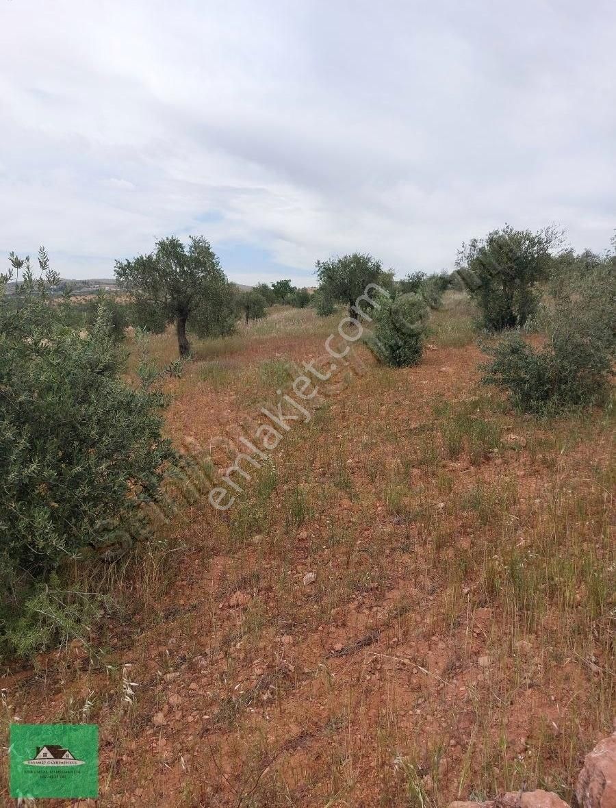 Sekilide 2.org. San. Bölgesinin Karşısında Yatırımlık Arazi. - Görsel 12