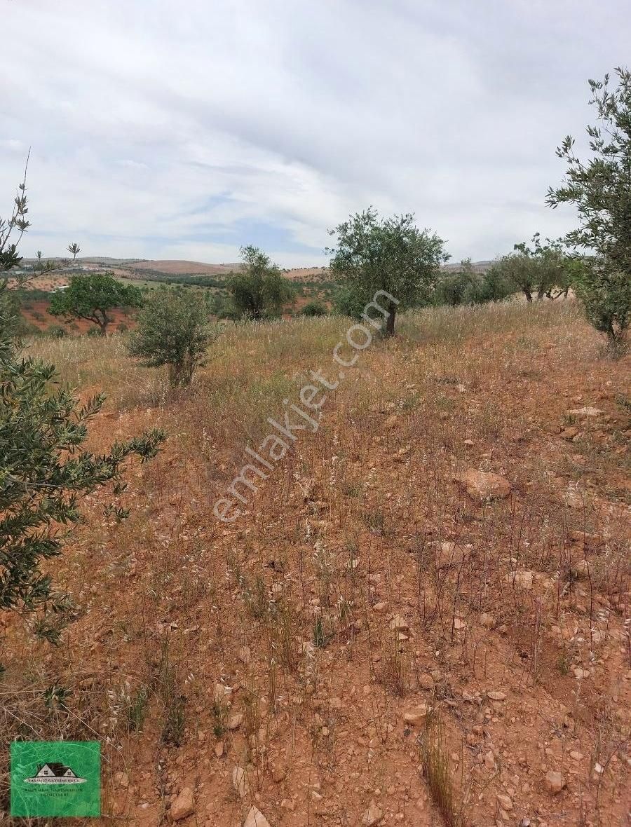 Sekilide 2.org. San. Bölgesinin Karşısında Yatırımlık Arazi. - Görsel 23