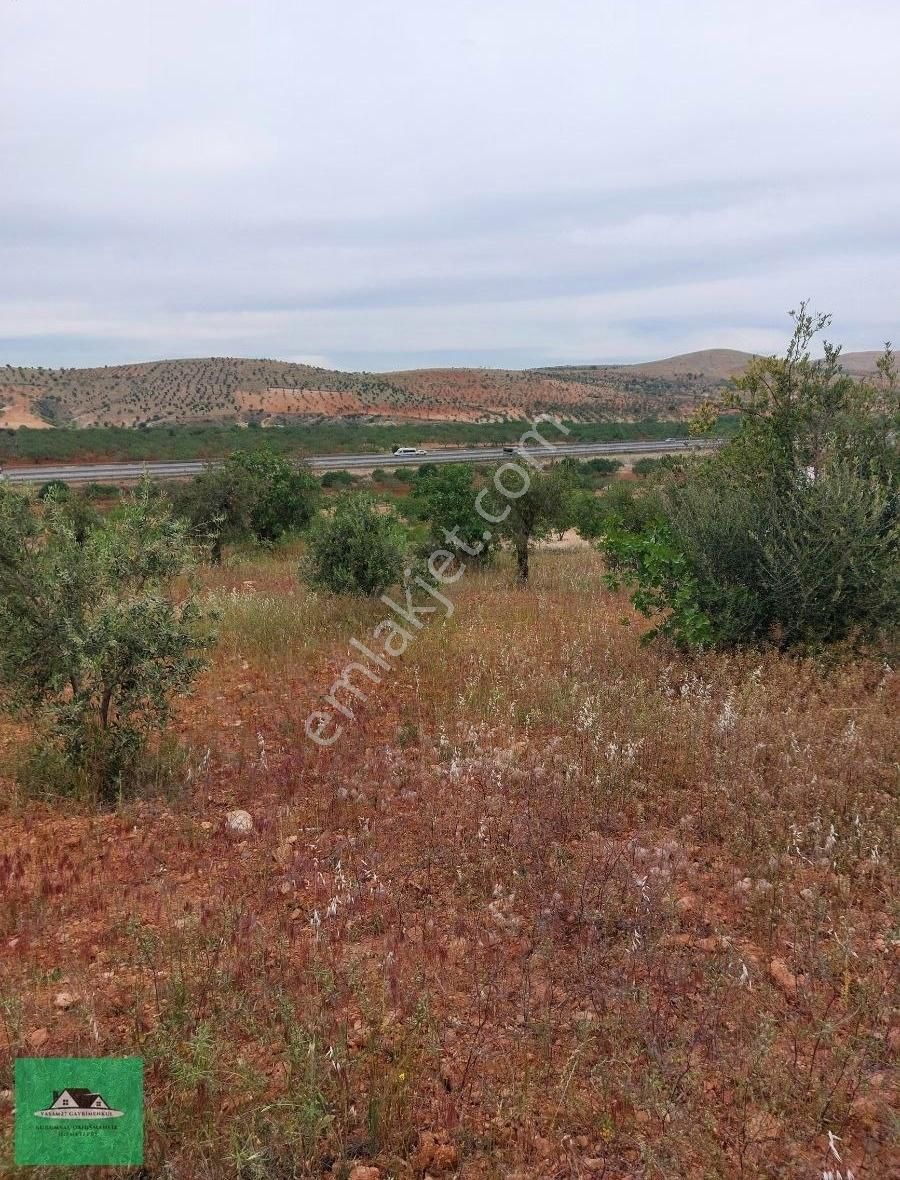 Sekilide 2.org. San. Bölgesinin Karşısında Yatırımlık Arazi. - Görsel 3