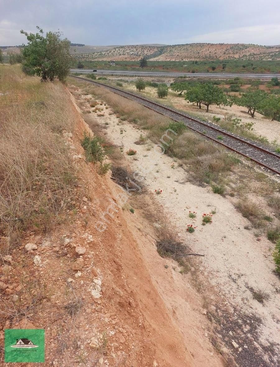Sekilide 2.org. San. Bölgesinin Karşısında Yatırımlık Arazi. - Görsel 2