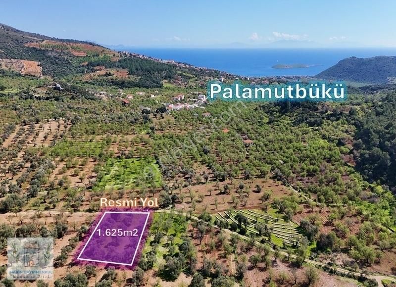 Marinden Palamutbükü'nde 1.625 M2 Yolu Olan Yerleşime Yakınarazi
