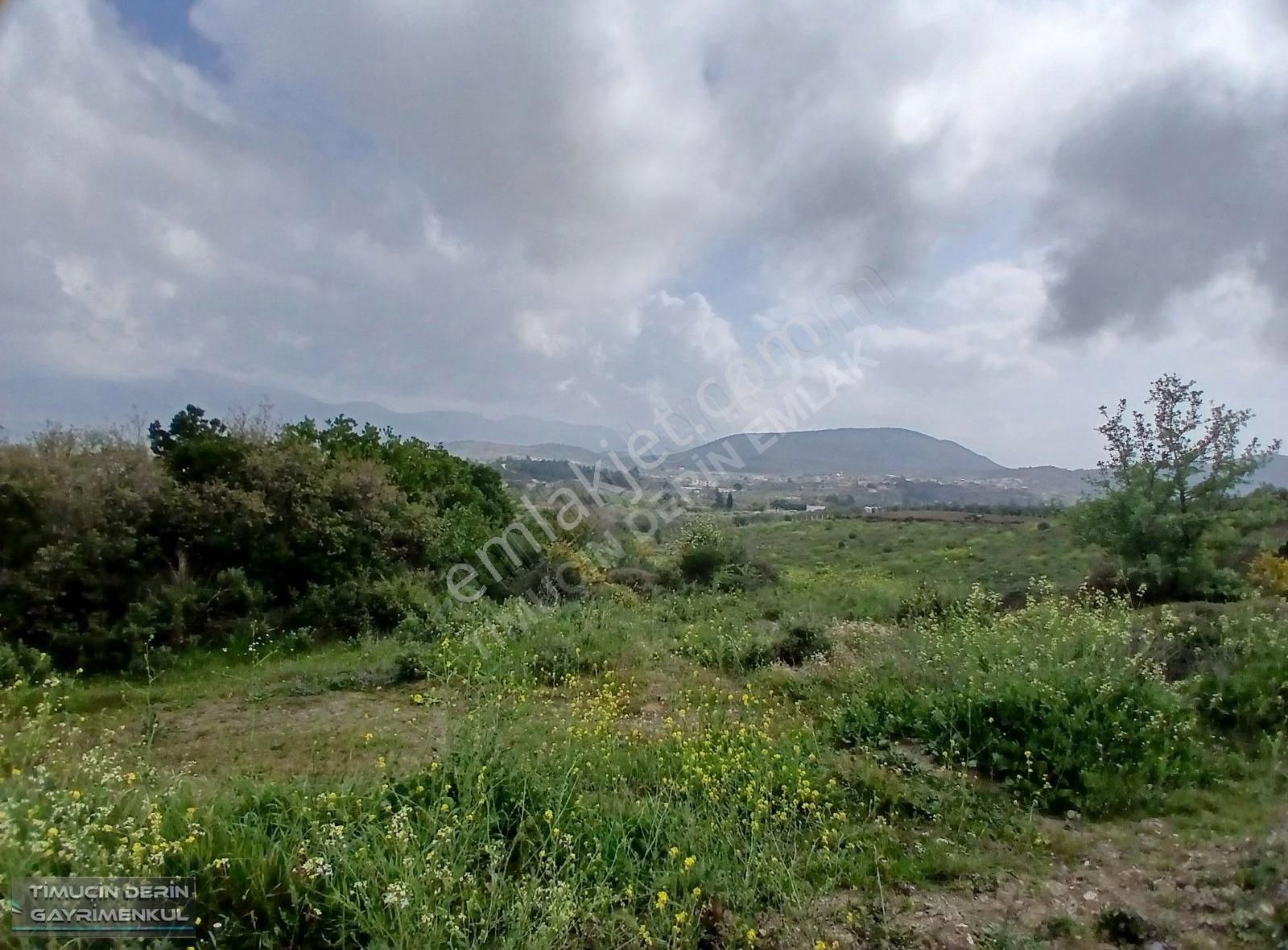 Kuşadası Yeniköy De İmar Planları Hazır 11.623 M2 Satılık Arsa