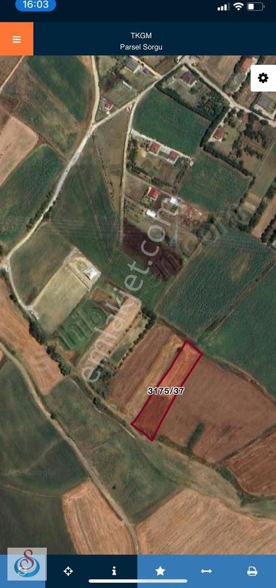Silivri Akören Köyü 3823m2 Satılık Tek Tapu Tarla