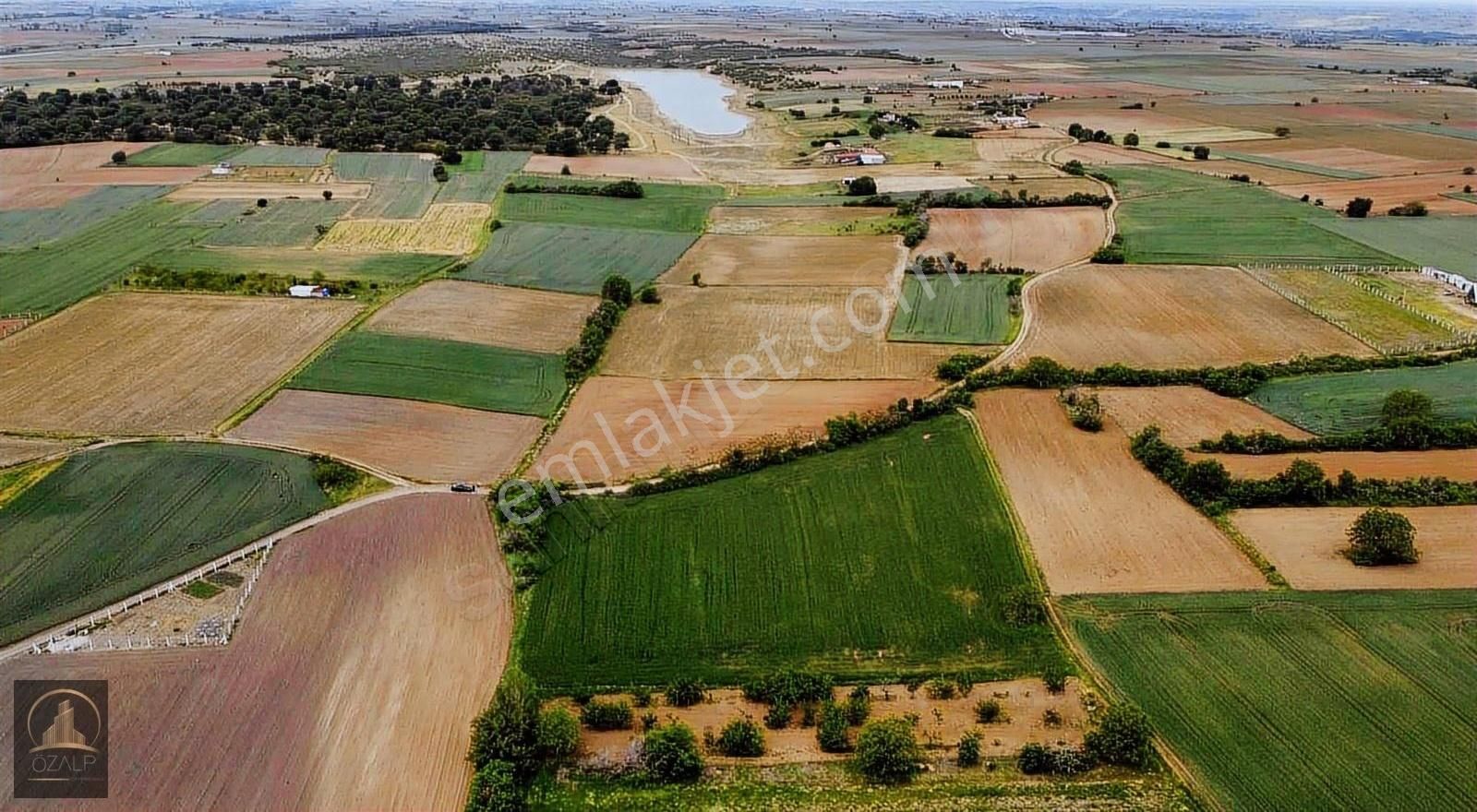 Karahıdır Koru Arkası [2.450m2] Bağ Yeri