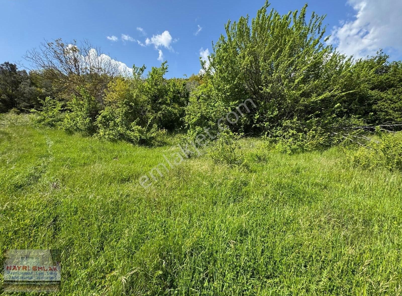 Gemlik Küçük Kumla Da Baraj Yanı Satılık Tarla - Görsel 7