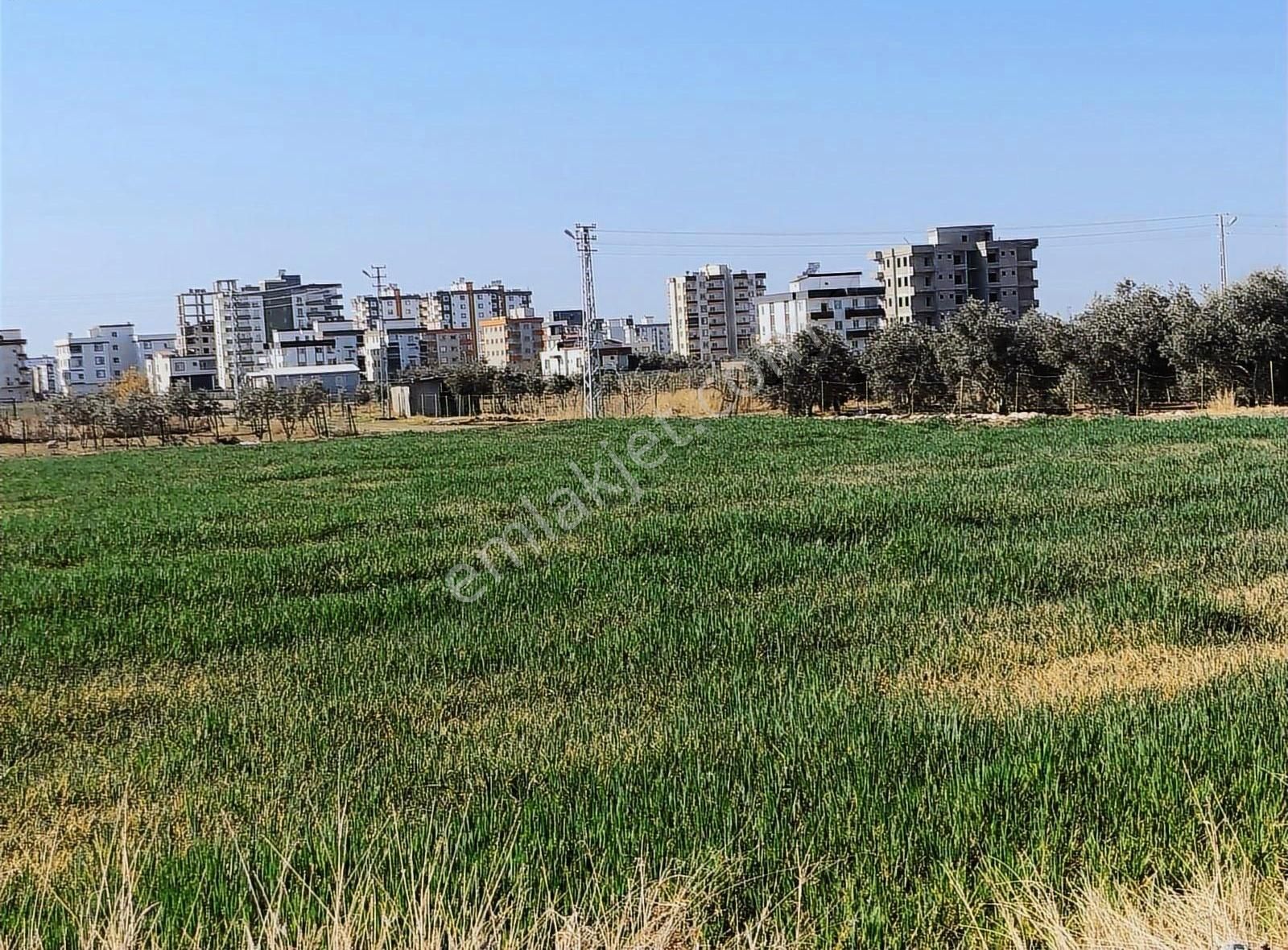 Şehit Kansu 512 M2 Müstakil Villalık Arsa