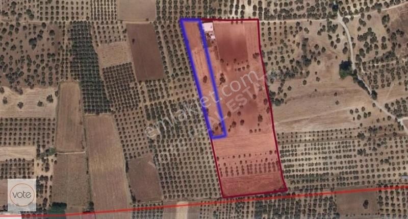 Milas Yolu Üzerinde 5094m2 Baharlı Mah. Satılık Fırsat Tarla