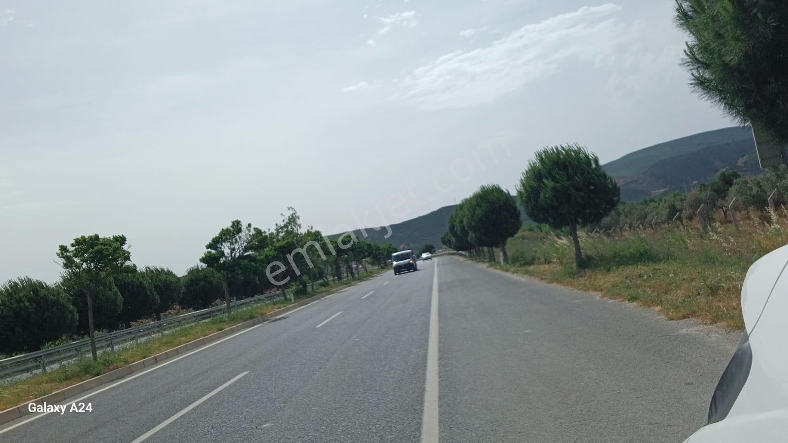 İzmir Urla İçmelerbölgesinde Deniz Yürüme Mesafesinde Satılık Arsa - Görsel 4