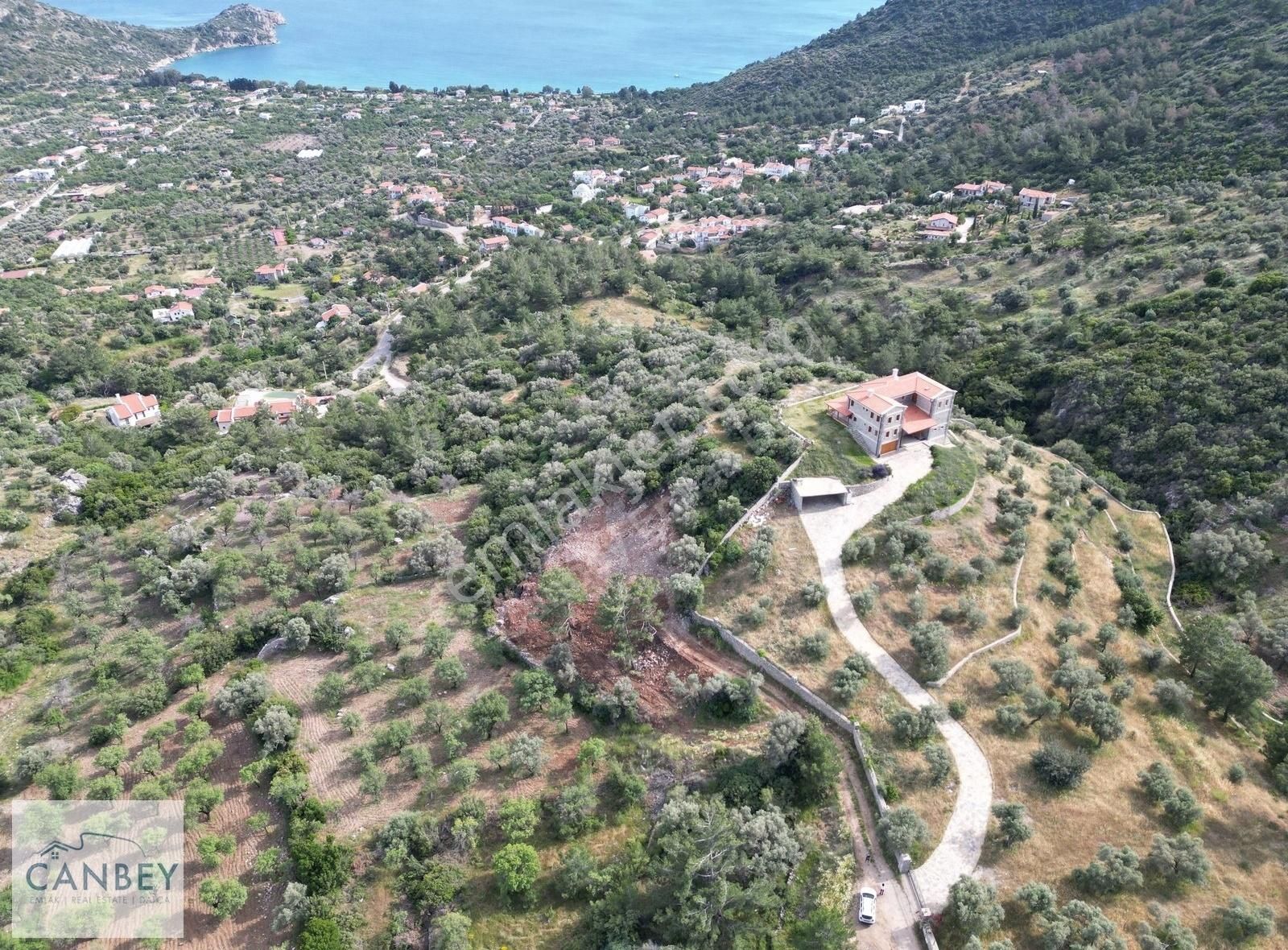 Datça Mesudiye'de Deniz Manzaralı 1.998 M2 Zeytinlik