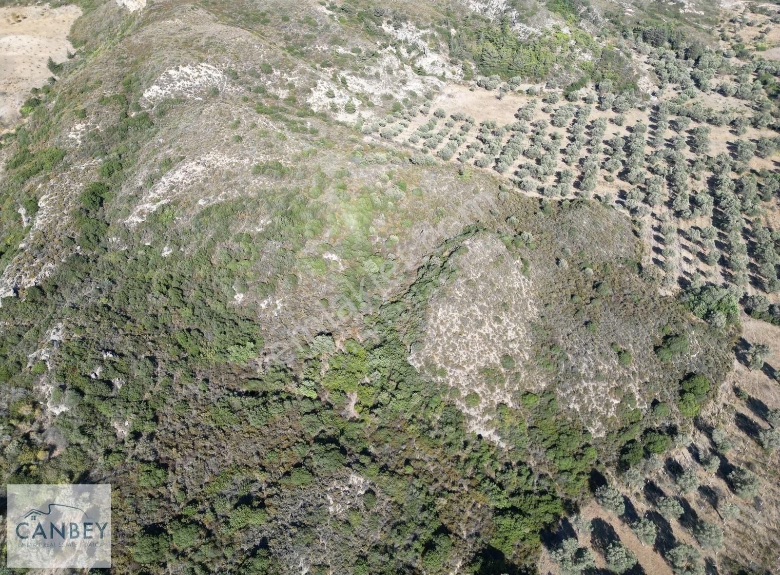 Datça Reşadiye'de 18.300 M2 Satılık Çiftlik Arazisi