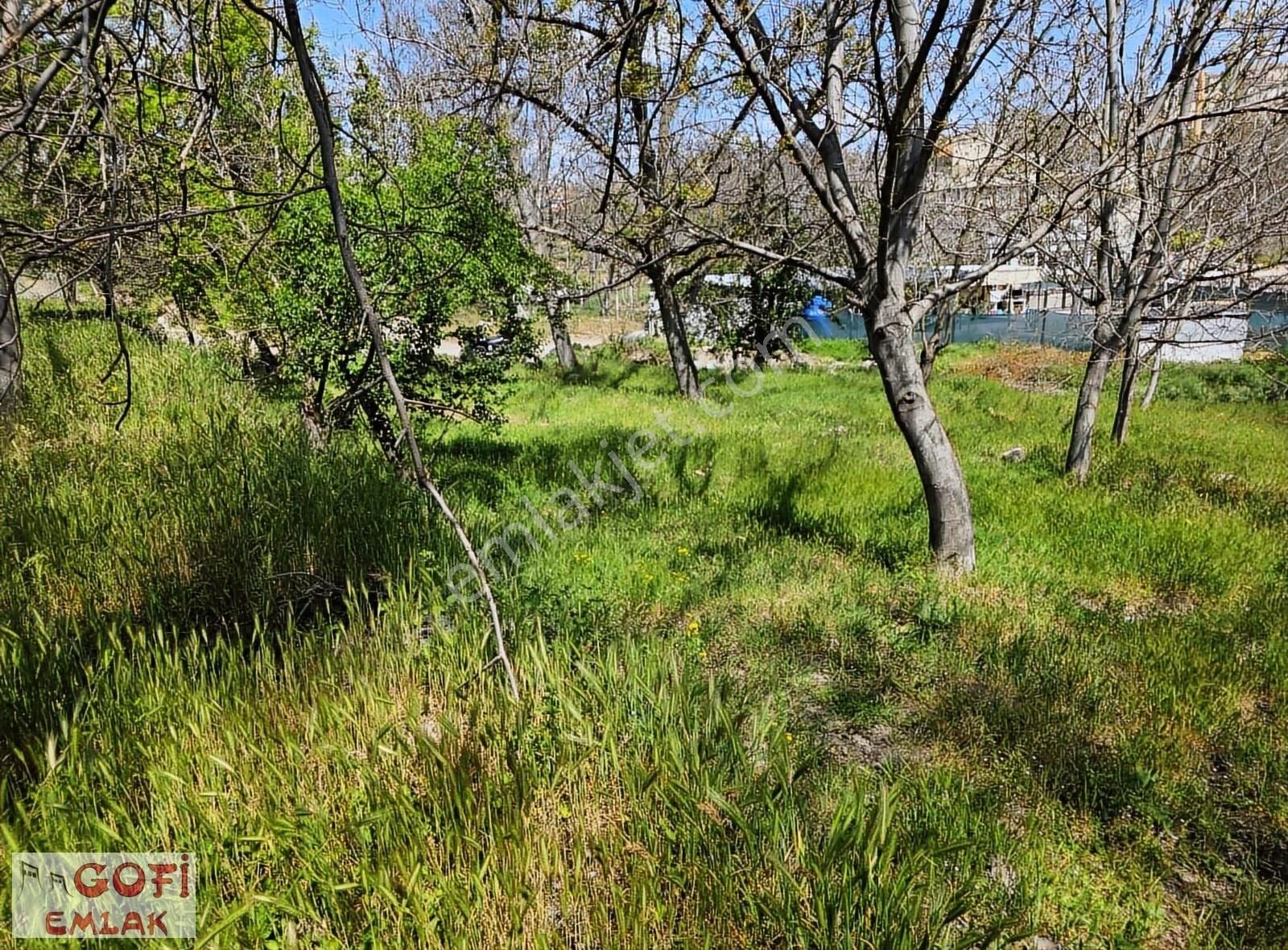 "gofi Emlak" Sit Alanı Dışı Bahçe 590 M2