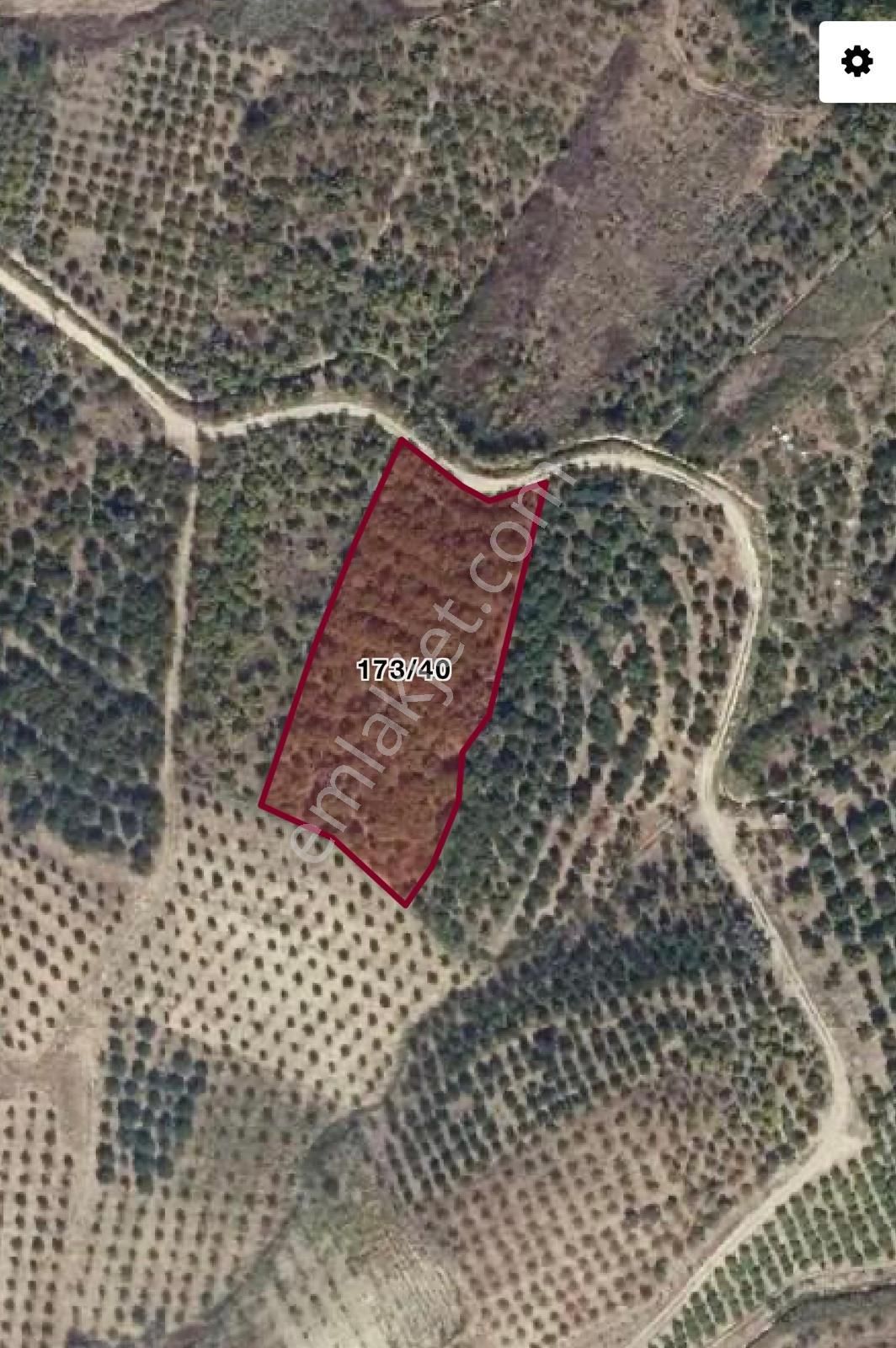 Arve’den Çavak’ta Yatırımın Tam Zamanı! 3830m2 Arsa