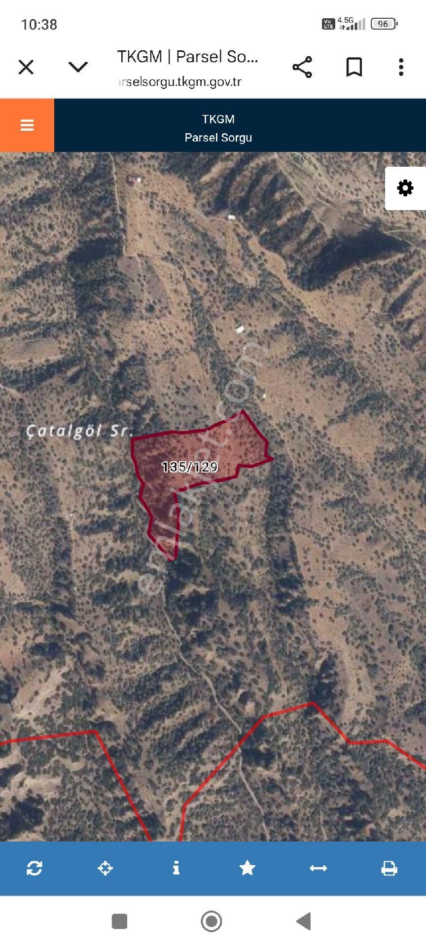 26.083 M2 Sultanhisar Kılavuzlar Da Satılık Bahçe