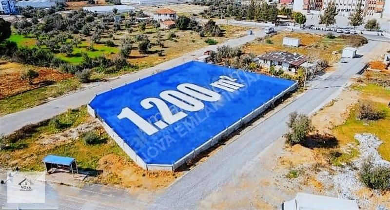 Nova Emlaktan Kiralık 1200m2 Depo