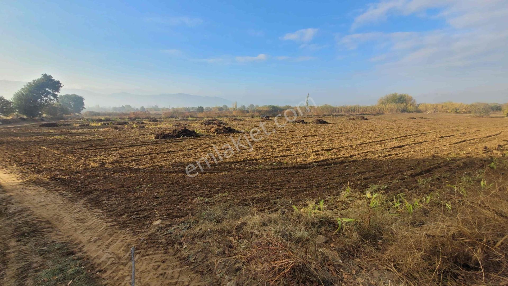 Meta'dan Yola Cepheli 18.482 M² Dümdüz Verimli Arazi - Görsel 3