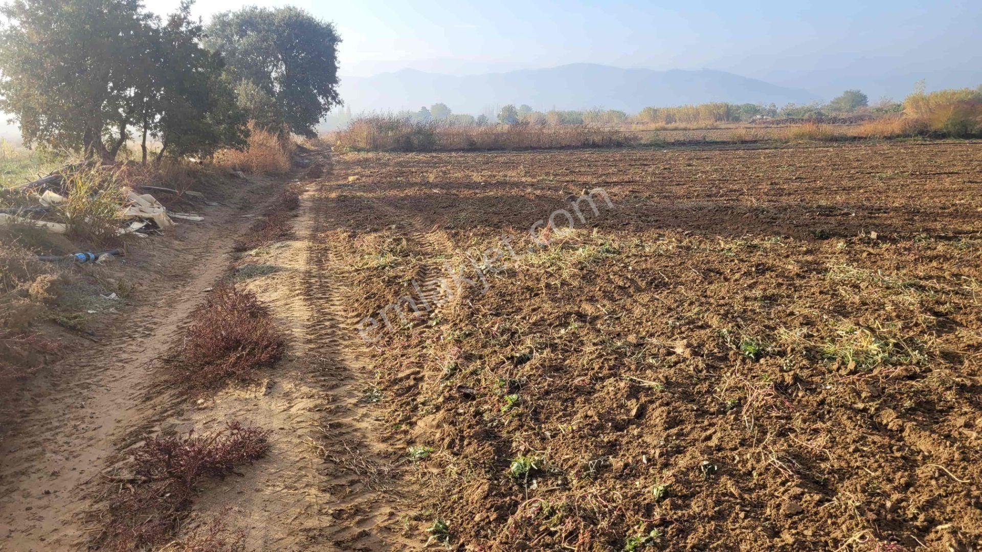 Meta'dan Yola Cepheli 18.482 M² Dümdüz Verimli Arazi - Görsel 9