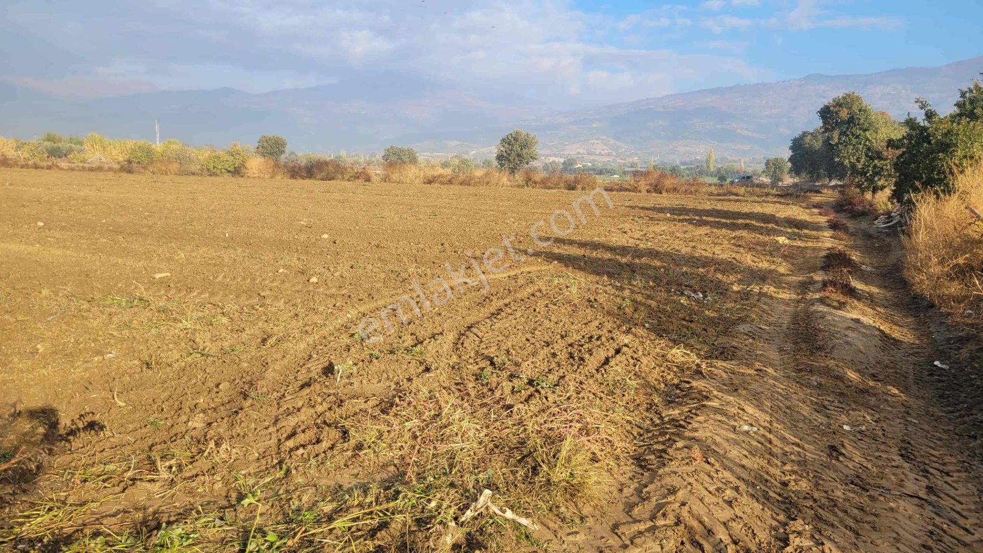 Meta'dan Yola Cepheli 18.482 M² Dümdüz Verimli Arazi - Görsel 11