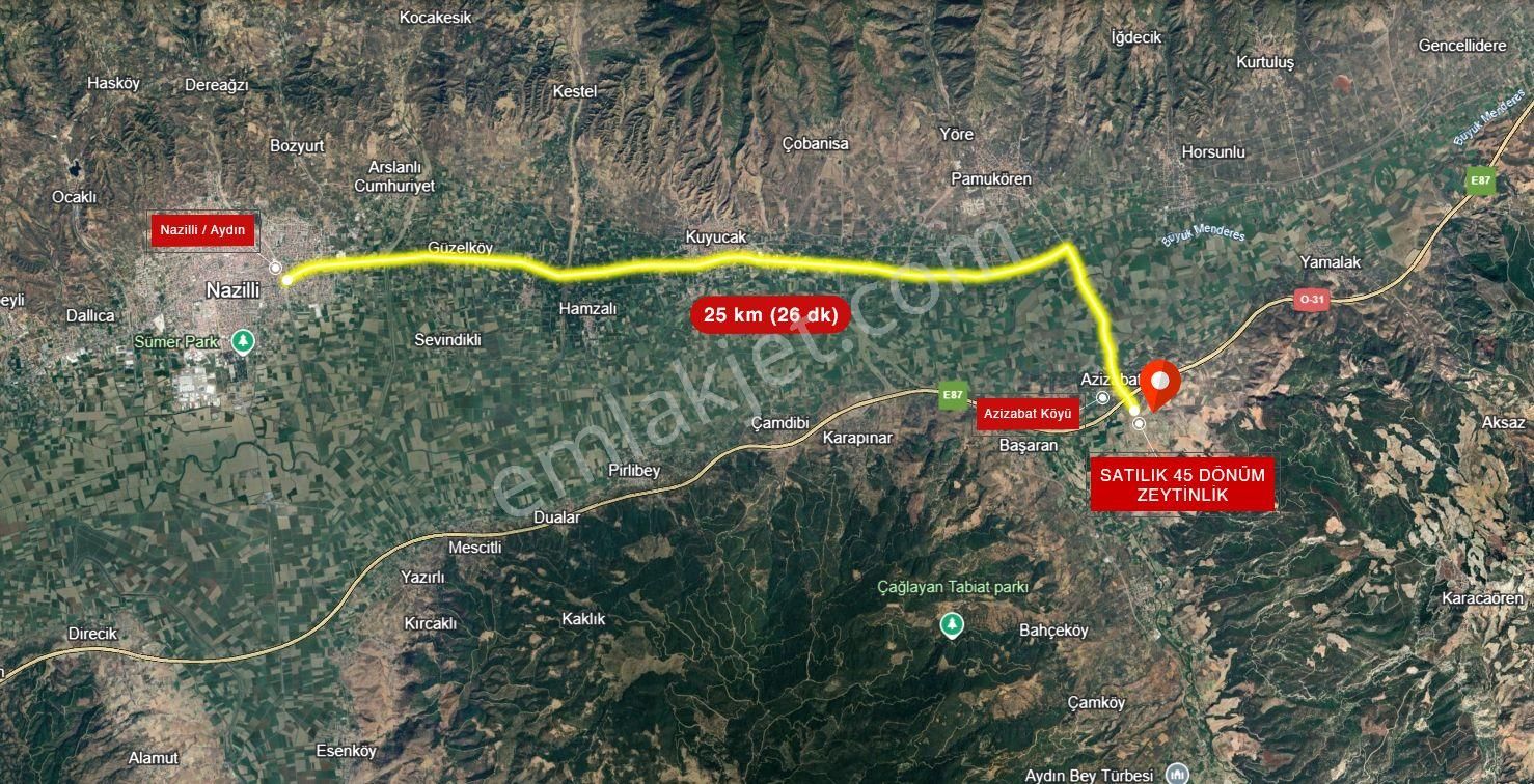 Karacasu Yenice Mevkiinde 45 Dönüm Satılık Zeytin Bahçesi - Görsel 24