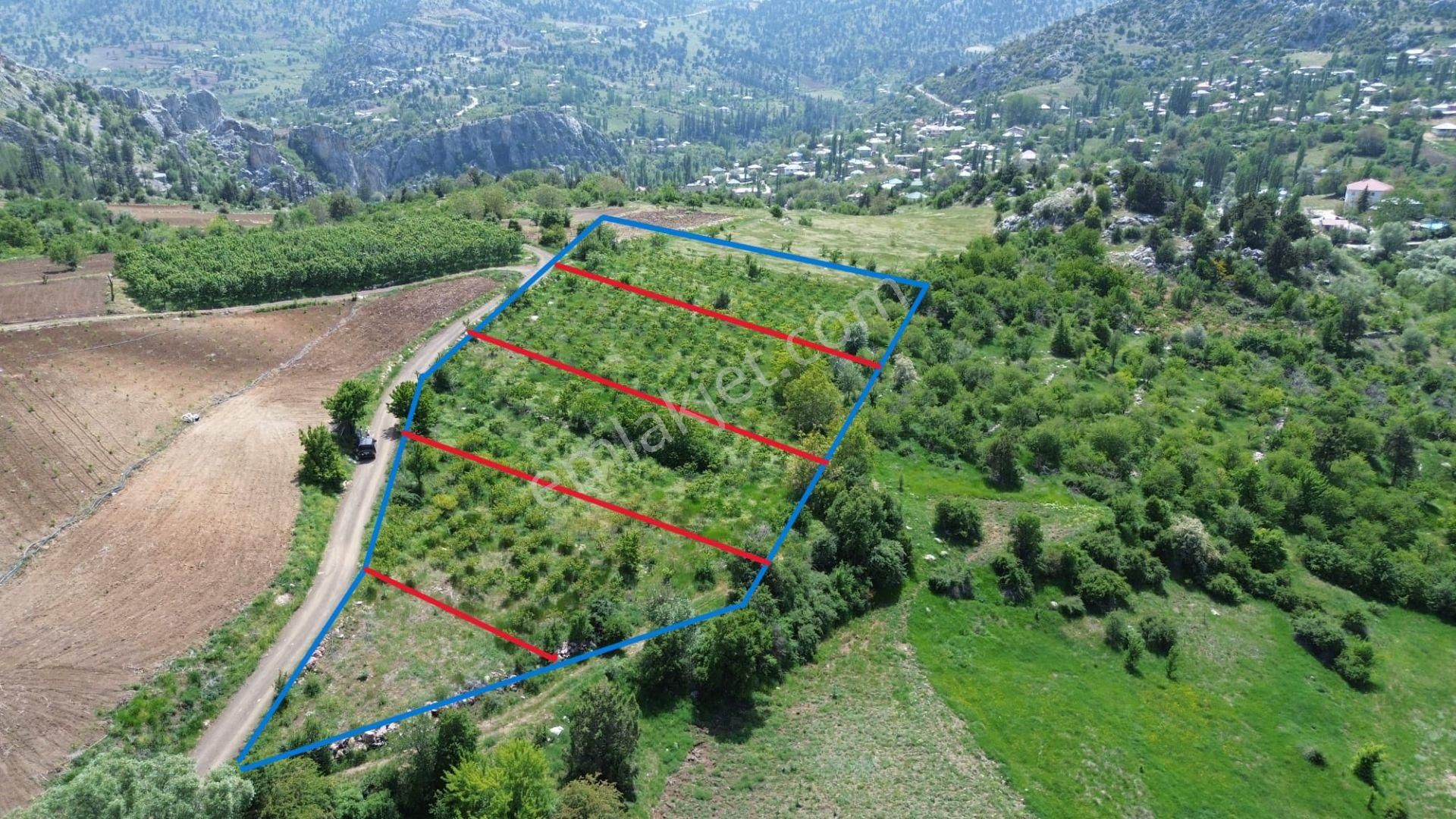 Erdemli Sorgunda Fırsat Ürünü Parsellere Bölünmüş Satılık Bahçe ...