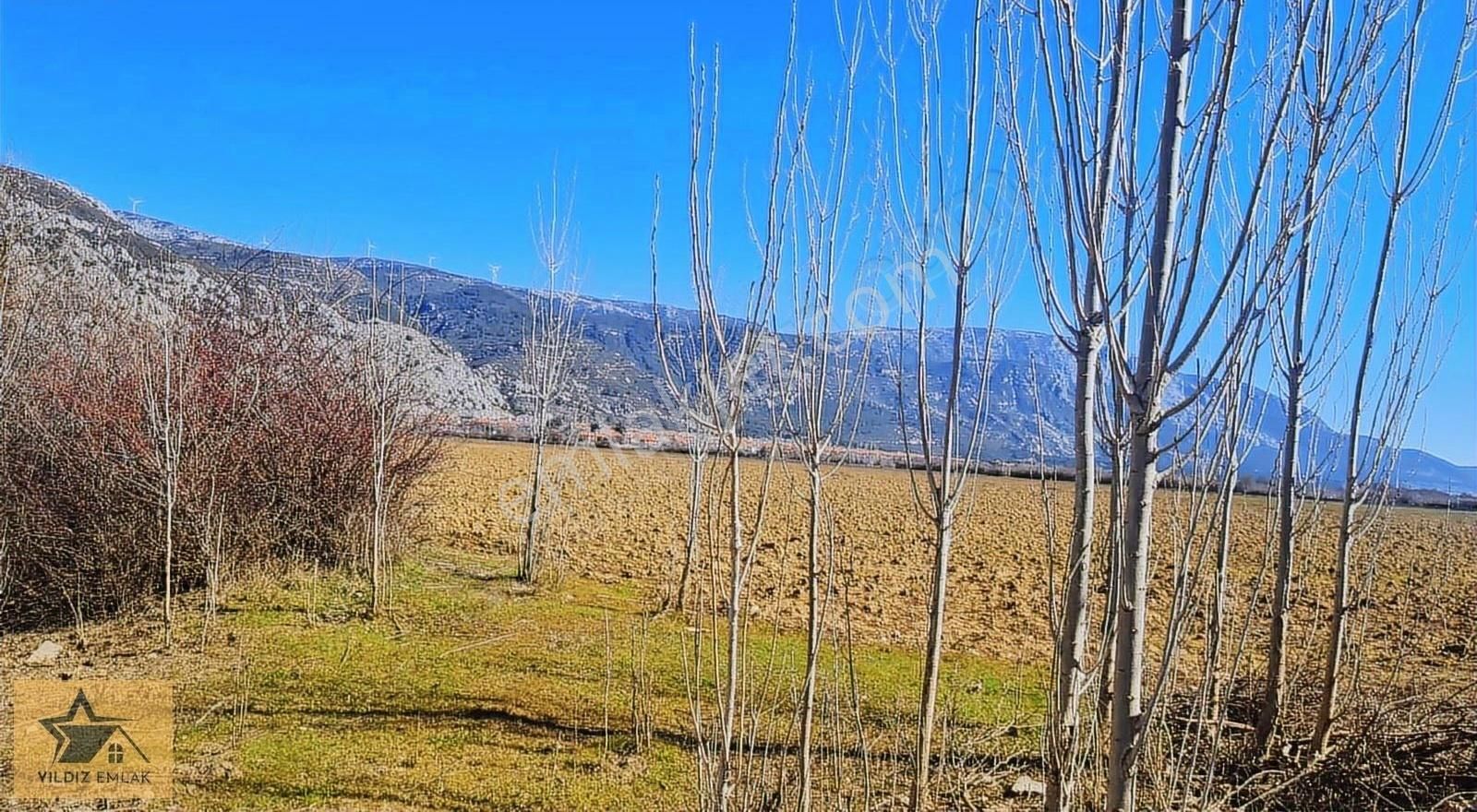 Muğla Karabağlar Yaylası Satılık 6453m2 Tarla