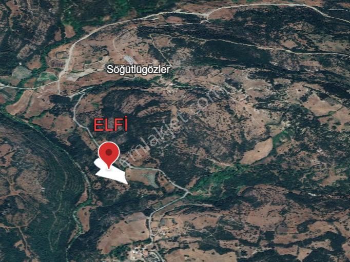 Elfi' Den Söğütlügüzle Mahallesinde Satılık 10.575 M2 Tarla