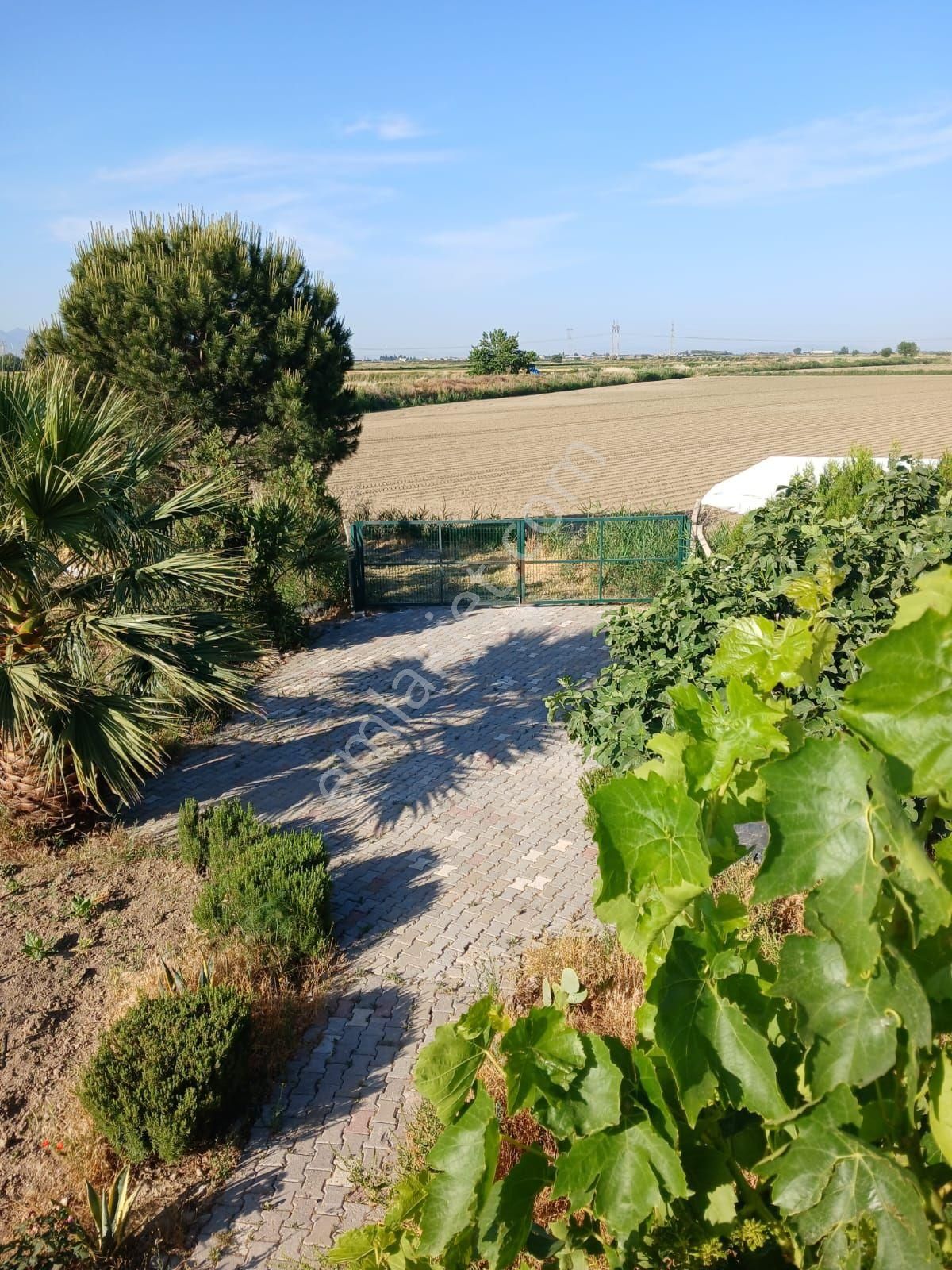 İzmir Menemen Seyrek De Satılık Çiftlik Ev Ve Tarla - Görsel 6