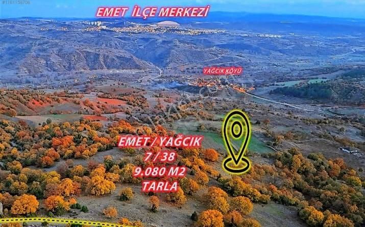 Ekşioğlu Gyd'den Kütahya Emet 9080m2 Müstakil Tapu Satılık Tarla