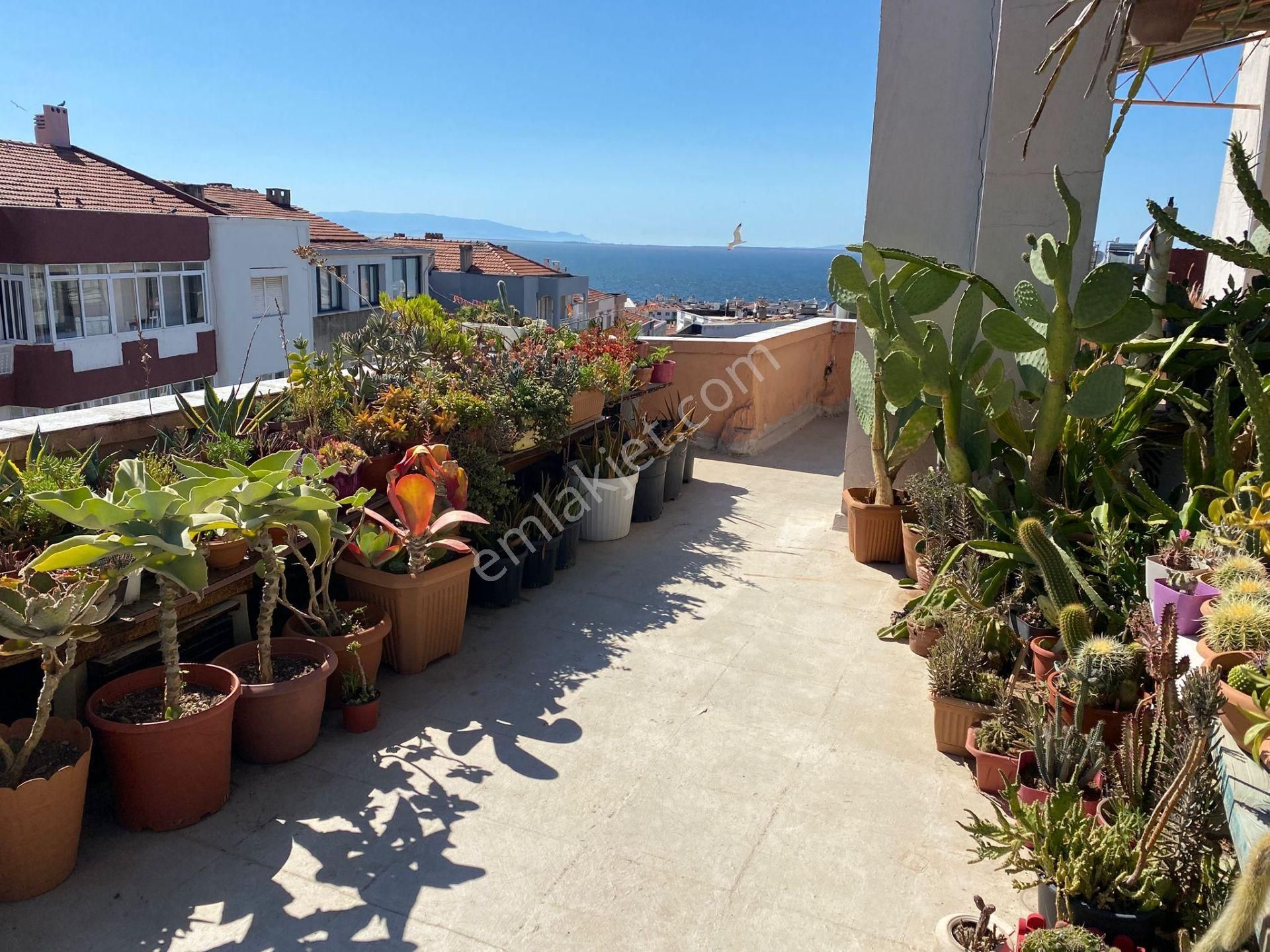 Konak Hatay Satılık Daire 131 Sk 250 Mt Teraslı