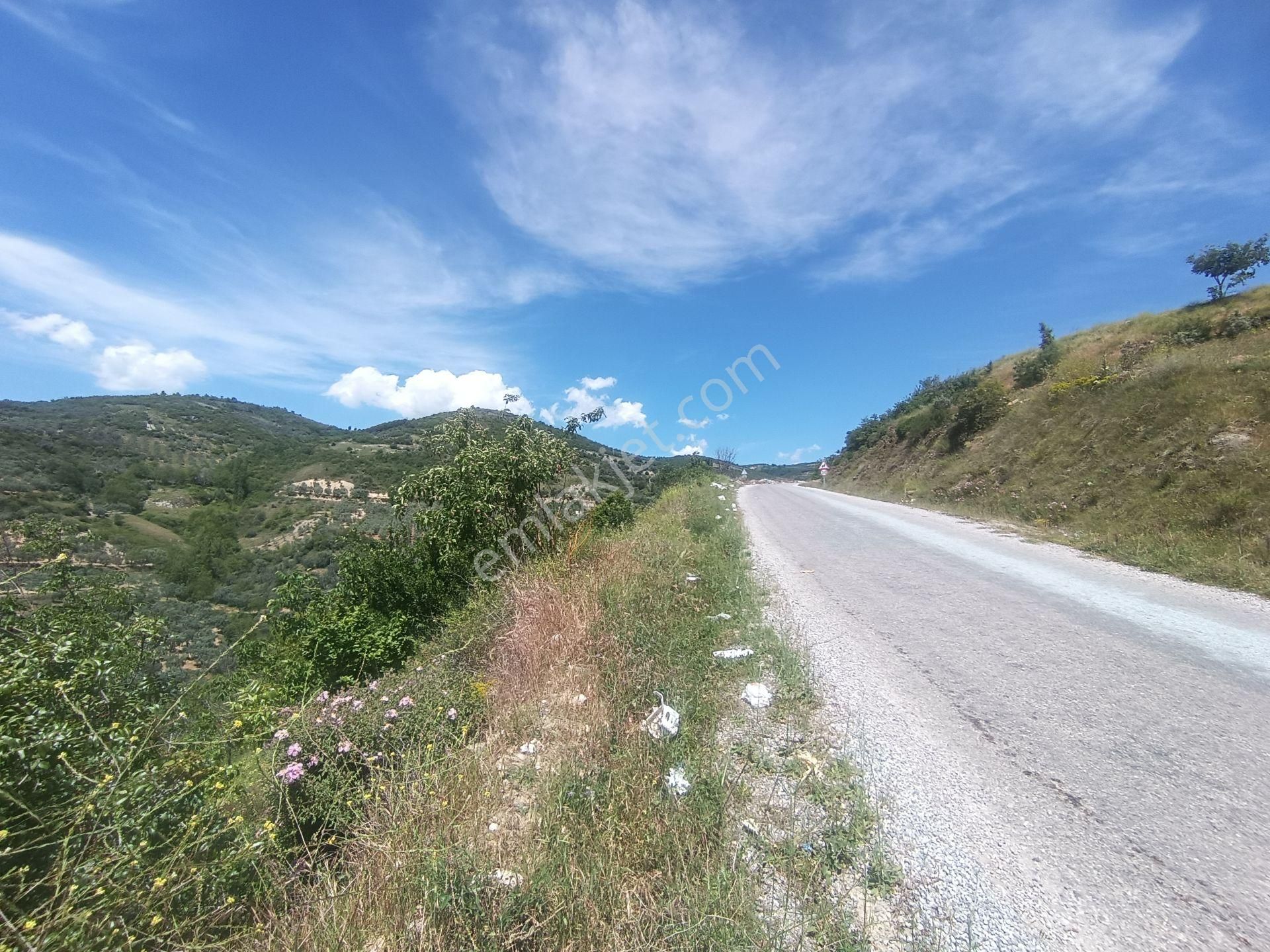 Engindeniz Emlak'tan İznik Tacir'de Satılık 29.329m2 Tarla - Görsel 17