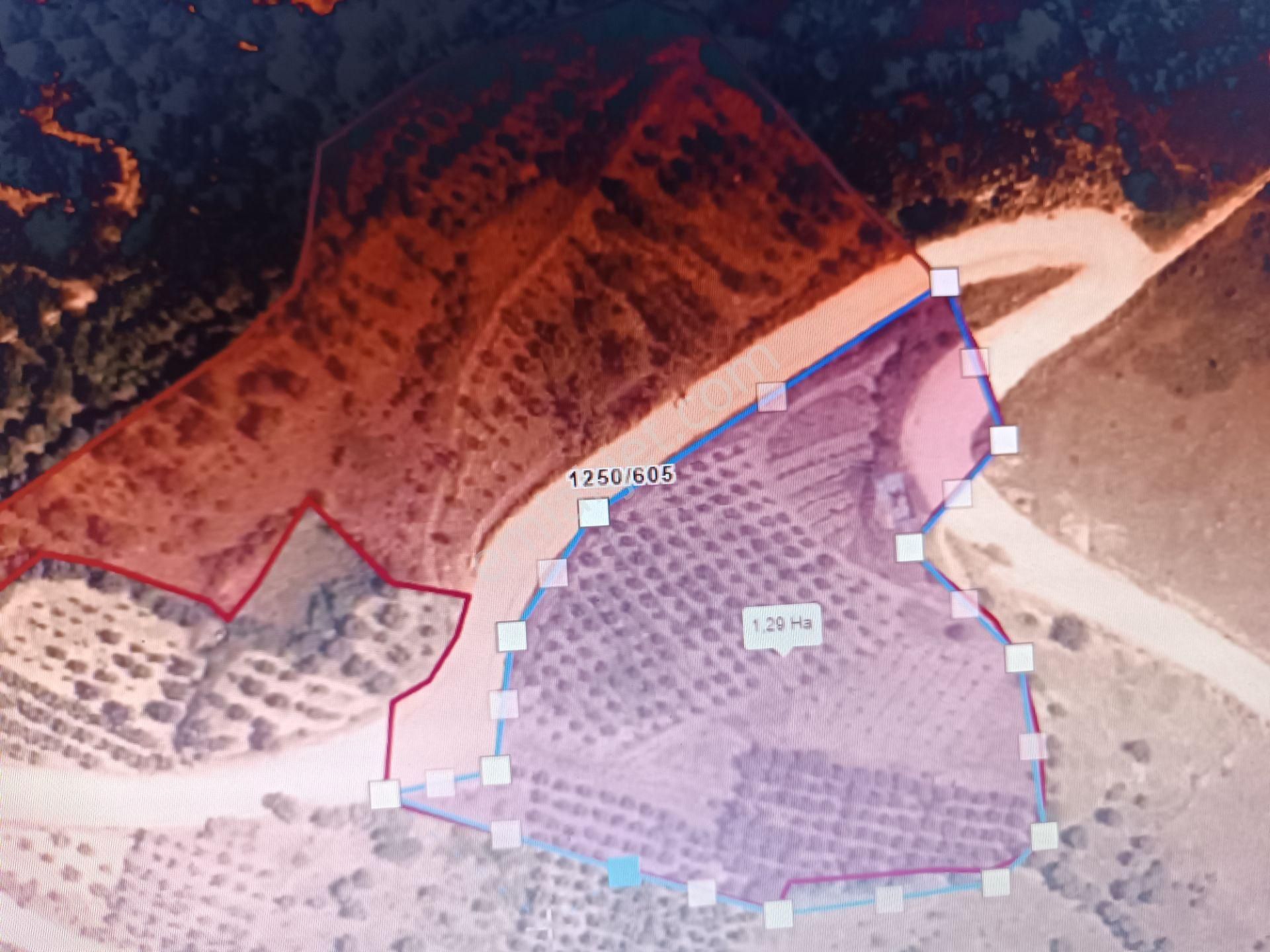 Engindeniz Emlak'tan İznik Tacir'de Satılık 29.329m2 Tarla