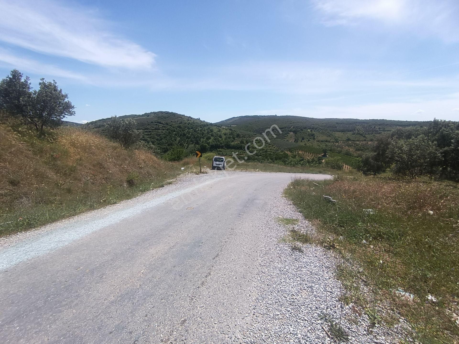 Engindeniz Emlak'tan İznik Tacir'de Satılık 29.329m2 Tarla - Görsel 14