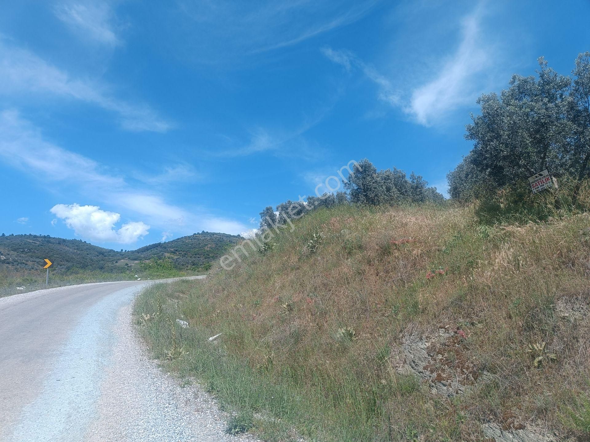 Engindeniz Emlak'tan İznik Tacir'de Satılık 29.329m2 Tarla - Görsel 30