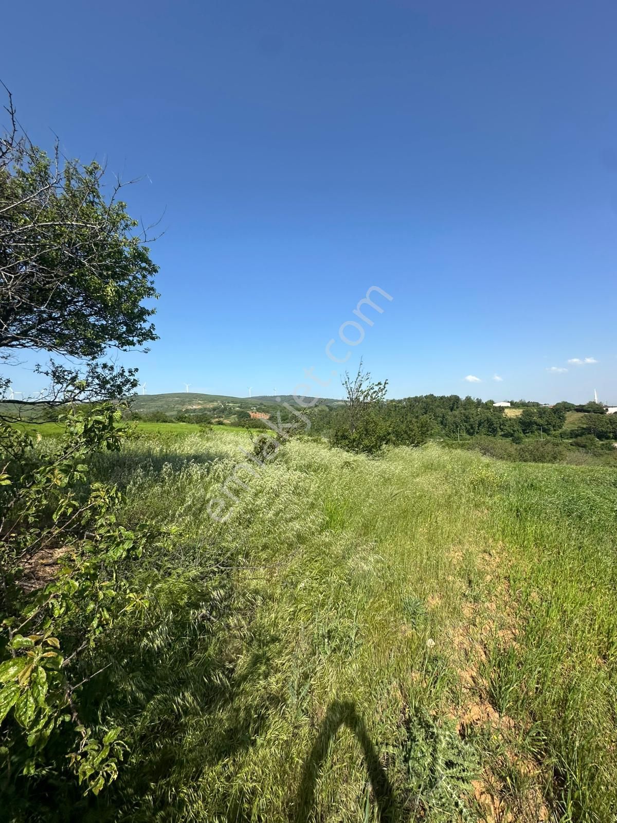 Dekor Emlaktan Bandırma'nın Yeşil Cenneti Eriklide Muazzam Tarla - Görsel 7